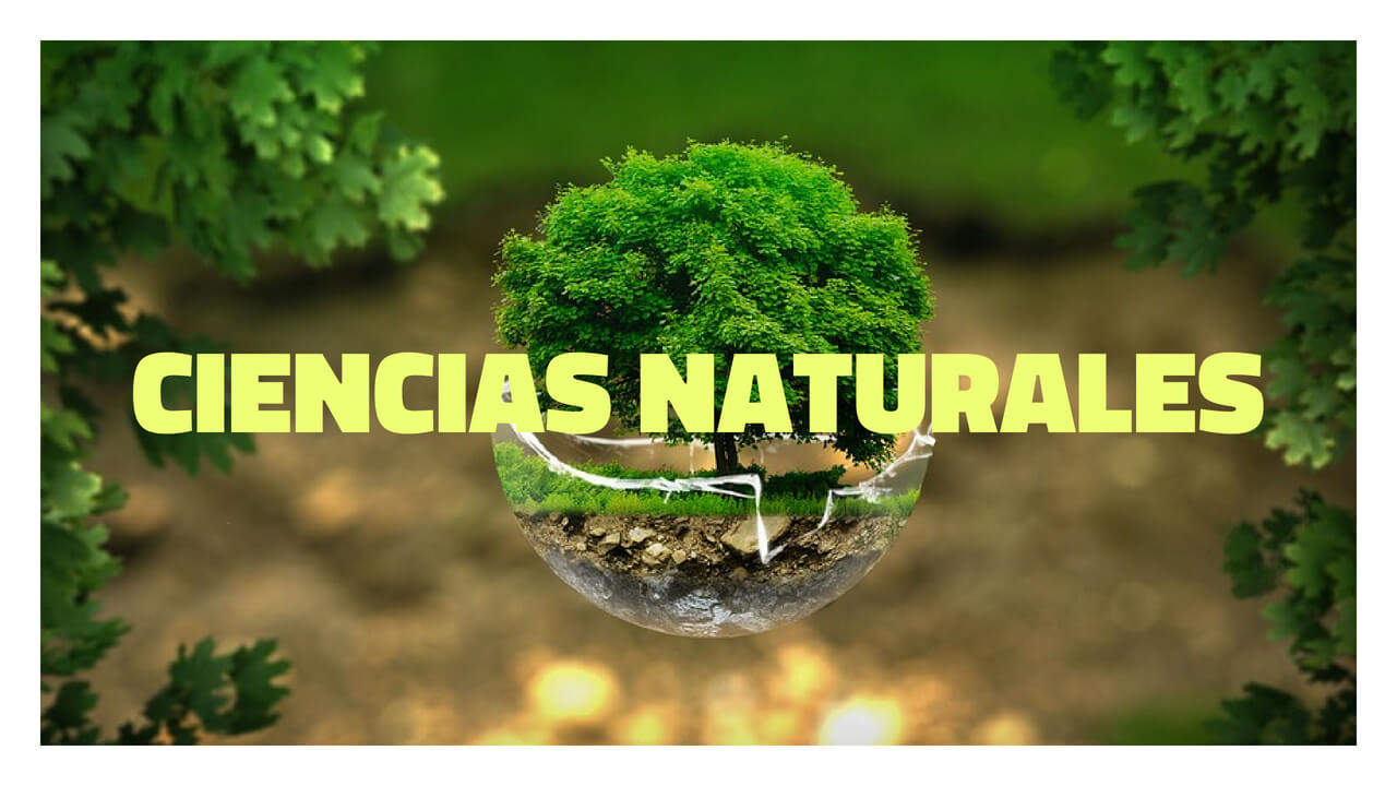 ciencia naturales